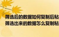 筛选后的数据如何复制后粘贴在对应列（2024年08月21日筛选出来的数据怎么复制粘贴）