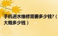 手机进水维修需要多少钱?（2024年08月21日手机进水维修大概多少钱）