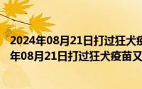 2024年08月21日打过狂犬疫苗又被咬了还用打针吗（2024年08月21日打过狂犬疫苗又被咬了还用打针）