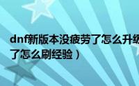 dnf新版本没疲劳了怎么升级（2024年08月22日dnf没疲劳了怎么刷经验）