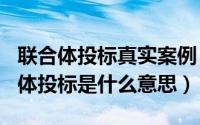 联合体投标真实案例（2024年08月23日联合体投标是什么意思）