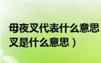 母夜叉代表什么意思（2024年08月23日母夜叉是什么意思）