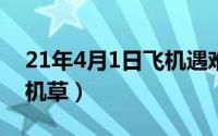 21年4月1日飞机遇难（2024年08月24日飞机草）