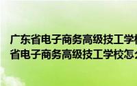 广东省电子商务高级技工学校 招聘（2024年08月24日广东省电子商务高级技工学校怎么样）