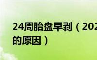 24周胎盘早剥（2024年08月24日胎盘早剥的原因）