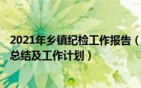 2021年乡镇纪检工作报告（2024年08月24日乡镇纪委工作总结及工作计划）