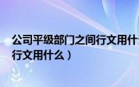 公司平级部门之间行文用什么（2024年08月25日平级之间行文用什么）