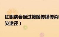 红眼病会通过接触传播传染吗（2024年08月26日红眼病传染途径）