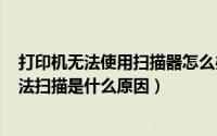 打印机无法使用扫描器怎么办（2024年08月26日打印机无法扫描是什么原因）