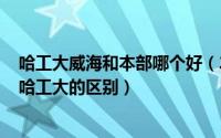 哈工大威海和本部哪个好（2024年08月28日哈工大威海与哈工大的区别）