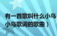 有一首歌叫什么小鸟（2024年08月29日带有小鸟歌词的歌曲）