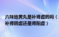 六味地黄丸是补肾虚药吗（2024年08月29日六味地黄丸是补肾阴虚还是肾阳虚）