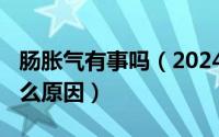 肠胀气有事吗（2024年09月05日肠胀气是什么原因）