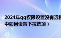 2024年qq权限设置没有远程设置（2024年09月06日excel中如何设置下拉选项）