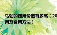 马勃的药用价值有多高（2024年09月06日马勃的功效与作用及食用方法）