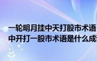 一轮明月挂中天打股市术语（2024年09月07日一轮明月挂中开打一股市术语是什么成语）