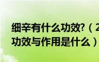 细辛有什么功效?（2024年09月07日细辛的功效与作用是什么）