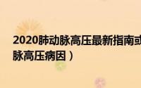 2020肺动脉高压最新指南或进展?（2024年09月07日肺动脉高压病因）