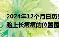 2024年12个月日历图片（2024年09月08日脸上长痘痘的位置图）