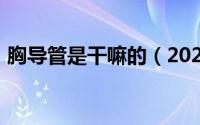 胸导管是干嘛的（2024年09月08日胸导管）