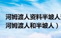 河姆渡人资料半坡人资料（2024年09月08日河姆渡人和半坡人）