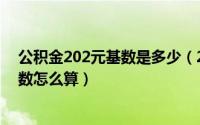 公积金202元基数是多少（2024年09月08日公积金工资基数怎么算）