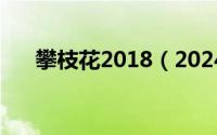 攀枝花2018（2024年09月08日攀附）