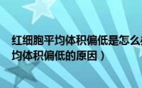 红细胞平均体积偏低是怎么办（2024年09月09日红细胞平均体积偏低的原因）