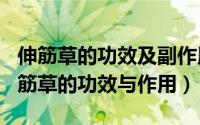 伸筋草的功效及副作用（2024年09月09日伸筋草的功效与作用）