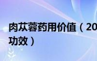 肉苁蓉药用价值（2024年09月09日肉苁蓉的功效）