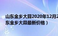 山东金乡大蒜2020年12月28号价格（2024年09月09日山东金乡大蒜最新价格）