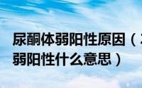 尿酮体弱阳性原因（2024年09月12日尿酮体弱阳性什么意思）