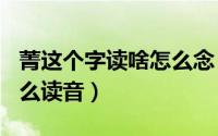 菁这个字读啥怎么念（2024年09月14日菁怎么读音）