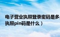 电子营业执照登录密码是多少（2024年09月14日电子营业执照pin码是什么）