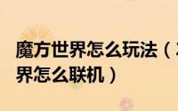 魔方世界怎么玩法（2024年09月14日魔方世界怎么联机）