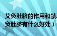 艾灸肚脐的作用和禁忌（2024年09月19日艾灸肚脐有什么好处）