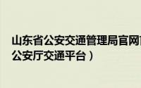 山东省公安交通管理局官网首页（2024年09月20日山东省公安厅交通平台）