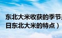 东北大米收获的季节是几月（2024年09月20日东北大米的特点）