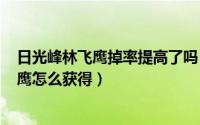 日光峰林飞鹰掉率提高了吗（2024年09月20日日光峰林飞鹰怎么获得）