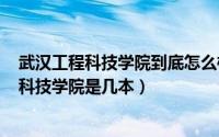 武汉工程科技学院到底怎么样（2024年09月21日武汉工程科技学院是几本）