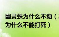 幽灵蛛为什么不动（2024年09月21日幽灵蛛为什么不能打死）