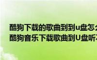 酷狗下载的歌曲到到u盘怎么不能听（2024年09月23日从酷狗音乐下载歌曲到U盘听不了是什么原因）