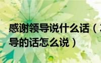 感谢领导说什么话（2024年09月23日感谢领导的话怎么说）