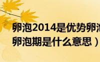 卵泡2014是优势卵泡吗（2024年09月23日卵泡期是什么意思）