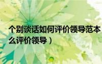 个别谈话如何评价领导范本（2024年09月24日个别谈话怎么评价领导）