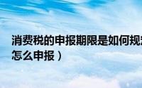 消费税的申报期限是如何规定的（2024年09月25日消费税怎么申报）