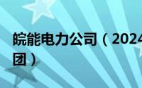 皖能电力公司（2024年09月25日皖能电力集团）