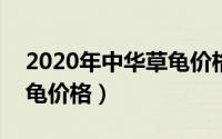 2020年中华草龟价格（2024年09月26日草龟价格）