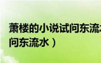 萧楼的小说试问东流水（2024年09月27日试问东流水）