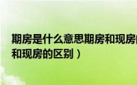 期房是什么意思期房和现房的区别（2024年09月27日期房和现房的区别）